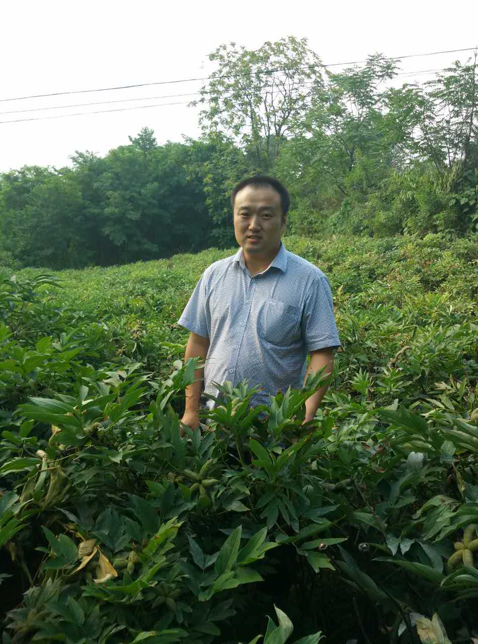 国家林业局油牡丹协会夏主任到我村考察