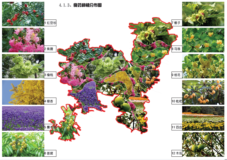 生态种植布局和合作单位
