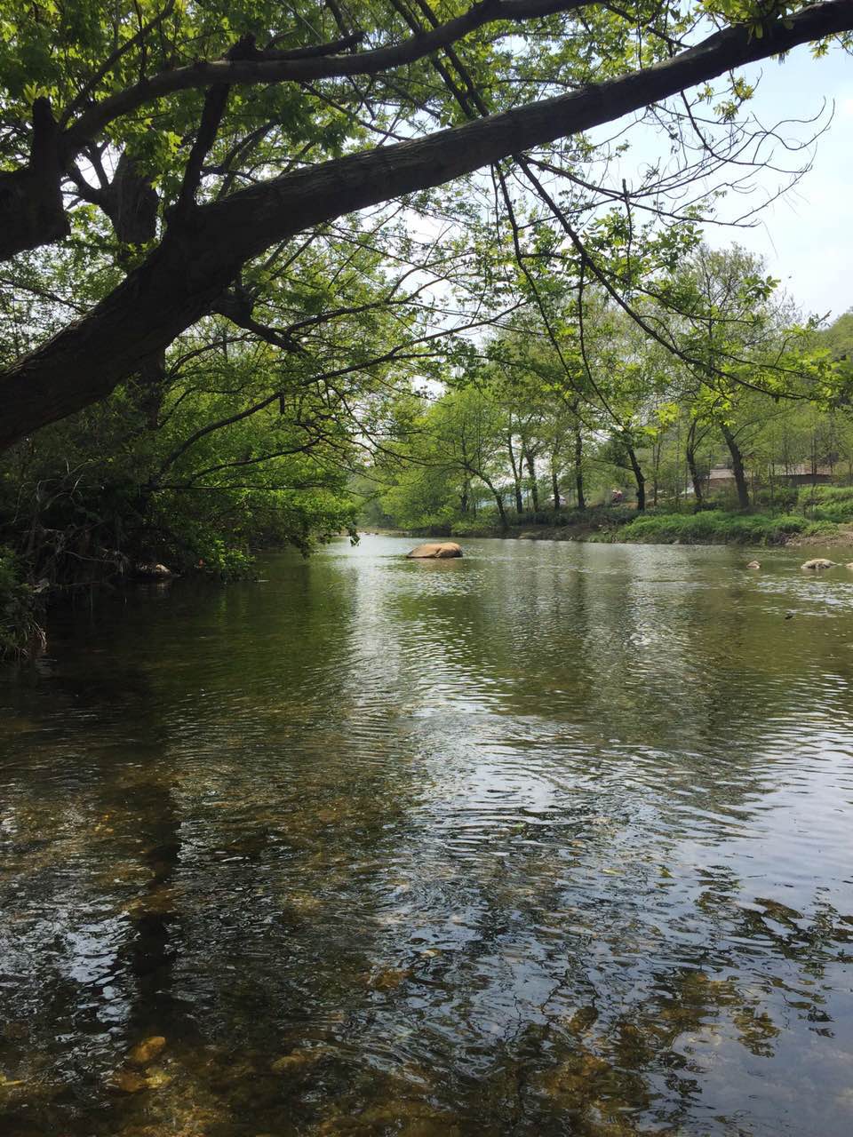 信阳市黄院生态旅游养老游览区原生态景色